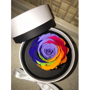 Стабилизированная роза в белой коробке (разноцветная)